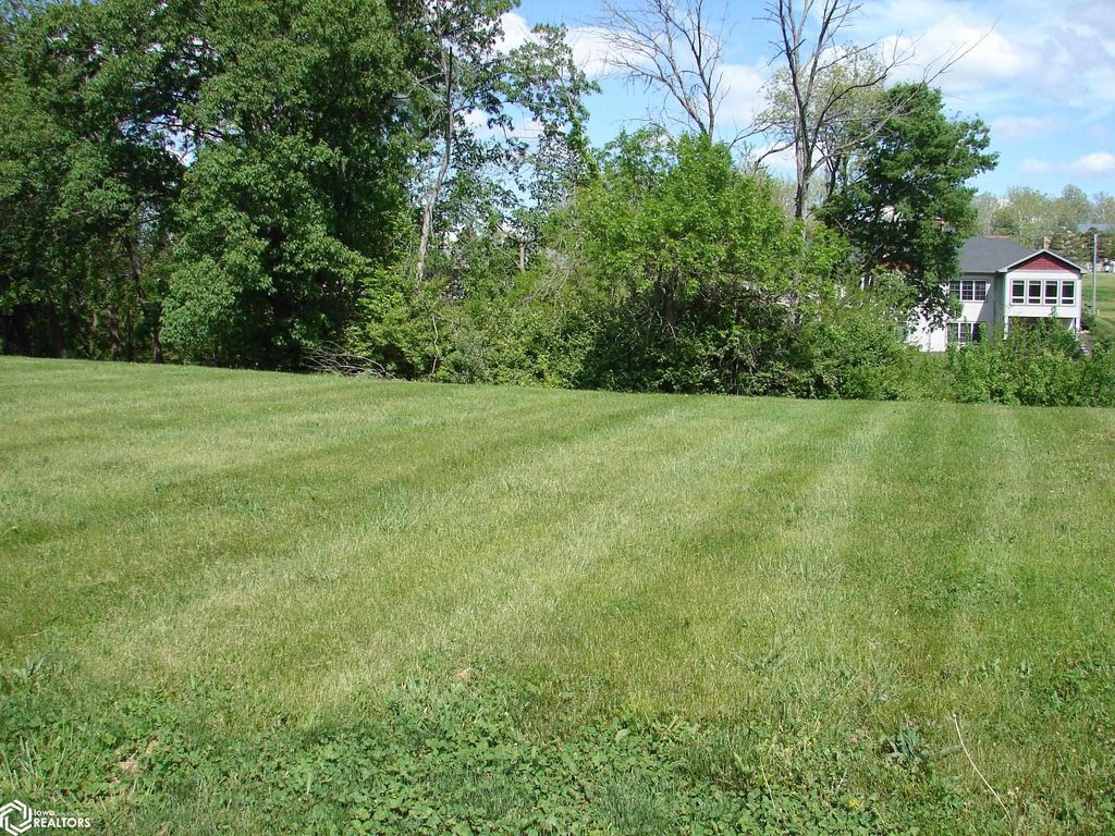 Photo of 902 S Smith Street, Mount Pleasant, IA 52641 (MLS # 6172162)