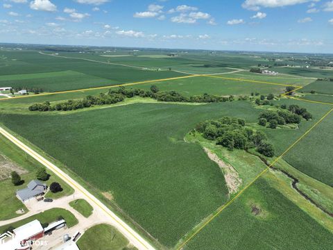 295th Street Manchester IA 52057