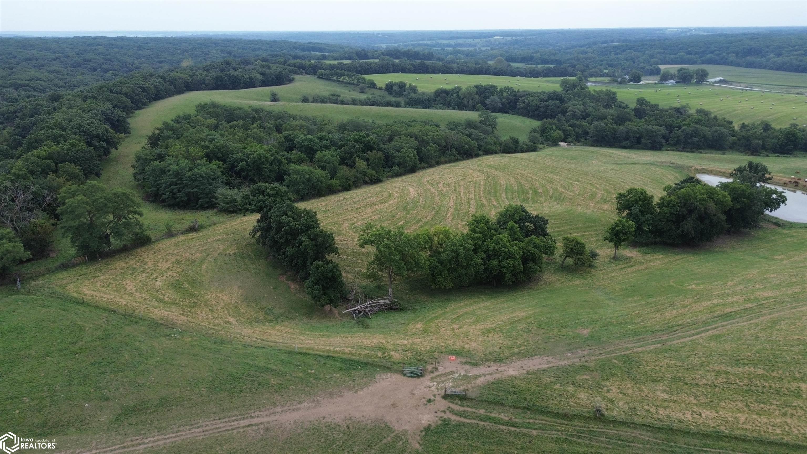 149 Acres T61