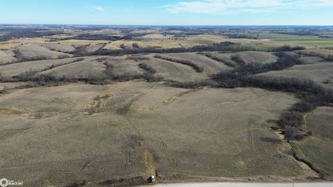 Dewberry Avenue Bloomfield IA 52537