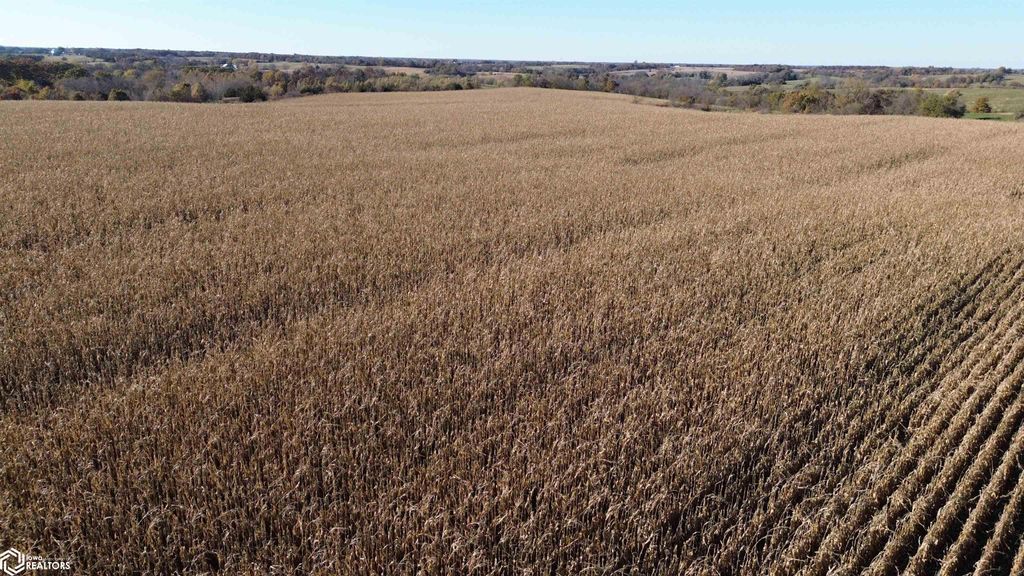 Photo of 32 A 160th Street, Bloomfield, IA 52537 (MLS # 6333393)