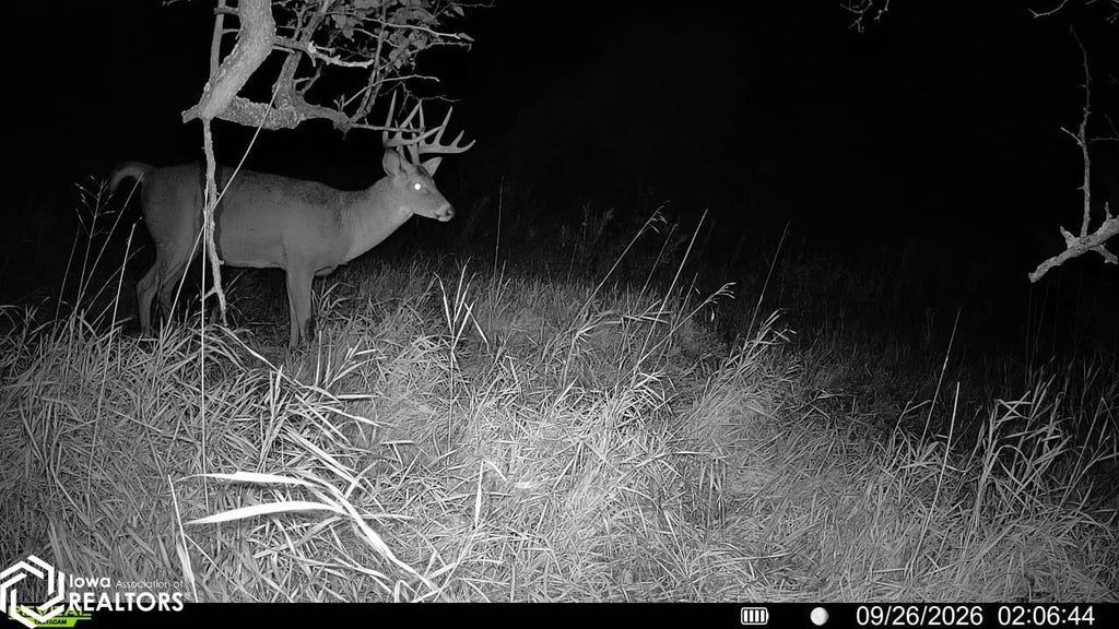 Photo of Nature St, Murray, IA 50174 (MLS # 6343342)