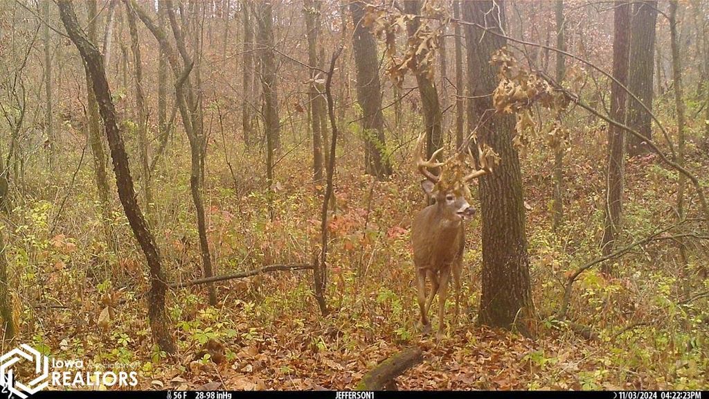 Photo of - 240th St., Fairfield, IA 52556 (MLS # 6337676)