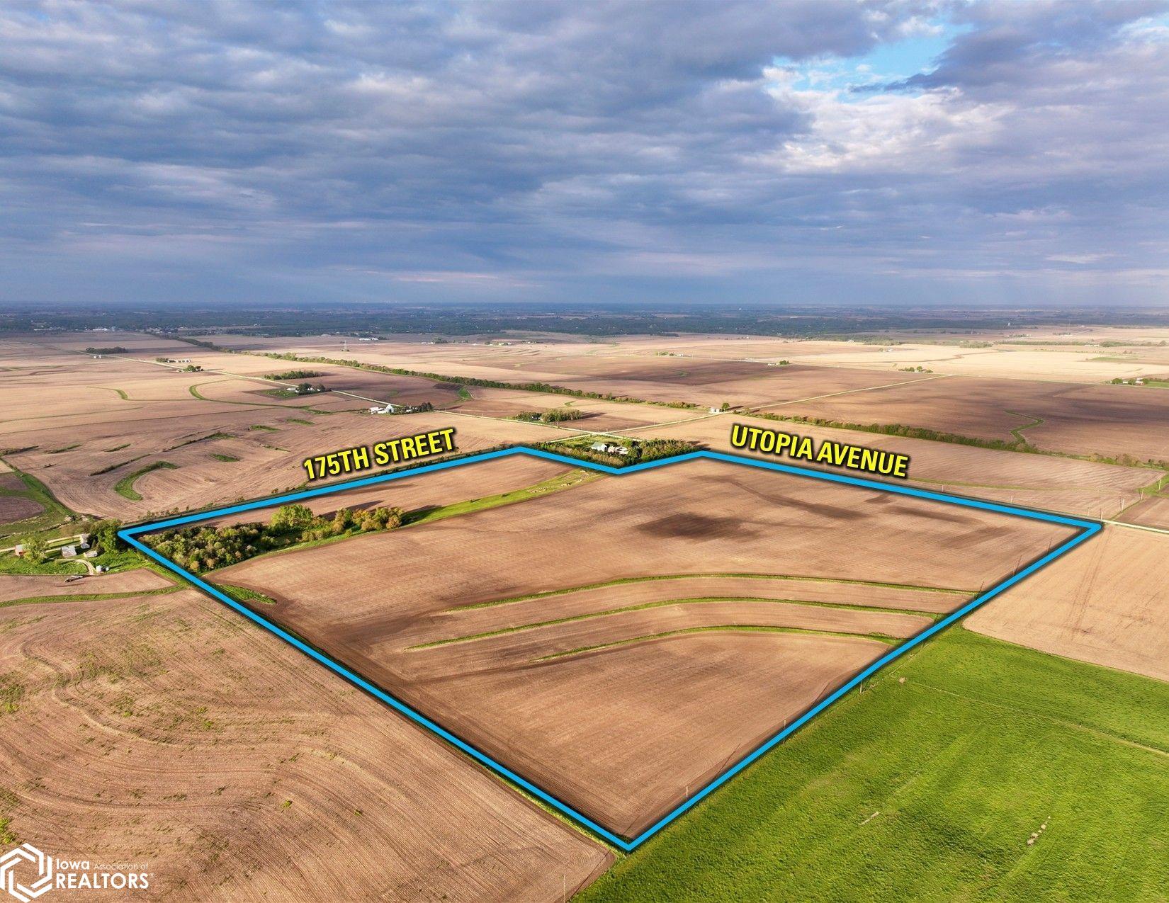 Utopia Avenue