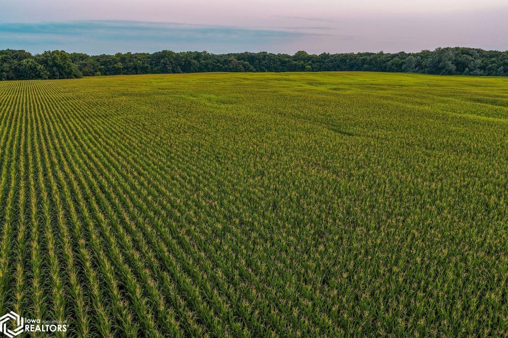 Photo of Big Bear Road, Stratford, IA 50249 (MLS # 6342338)