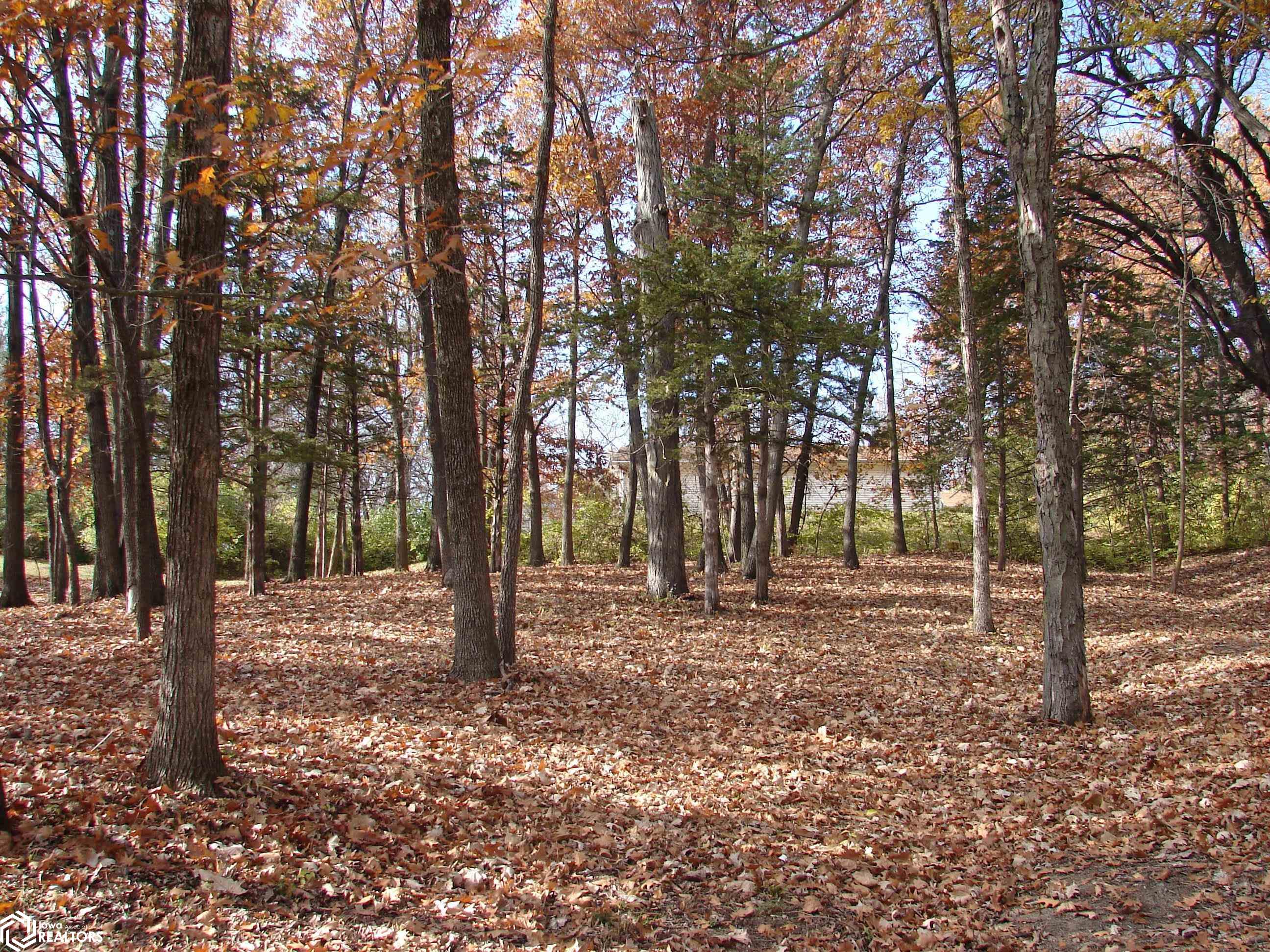 Photo 1 of 3 — Lot 3 S Hoaglin Drive, Mount Pleasant, IA 52641