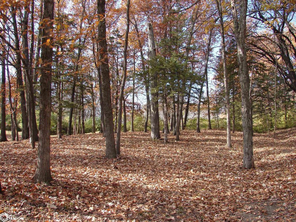 Photo of Lot 3 S Hoaglin Drive, Mount Pleasant, IA 52641 (MLS # 6313037)