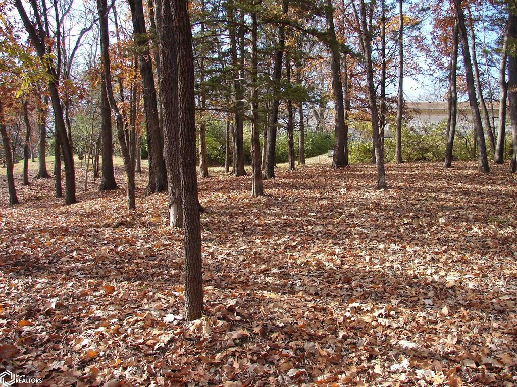Photo of Lot 3 S Hoaglin Drive, Mount Pleasant, IA 52641 (MLS # 6313037)