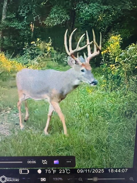 13241 Hickory Boulevard Drakesville IA 52552