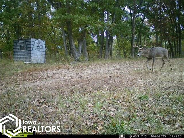 13241 Hickory Boulevard