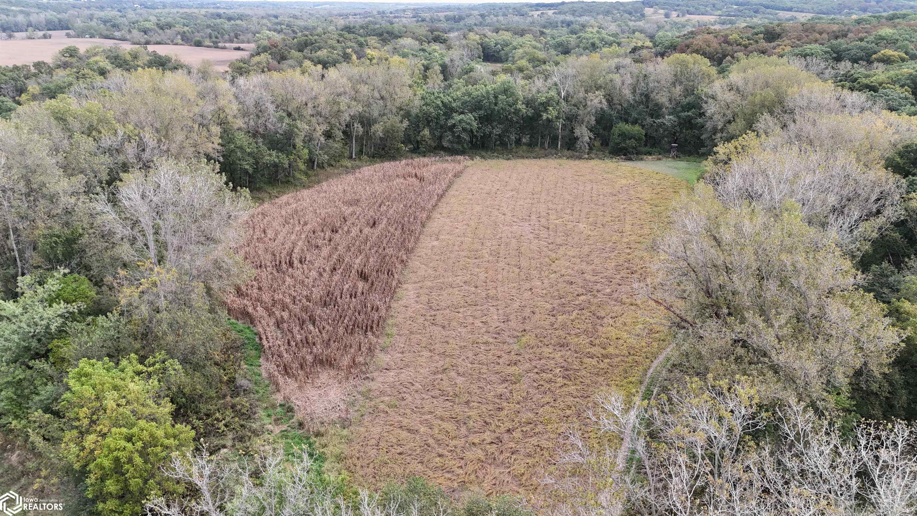 13241 Hickory Boulevard