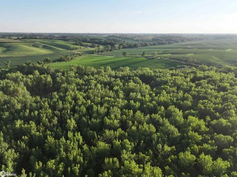 150th Avenue Sigourney IA 52563