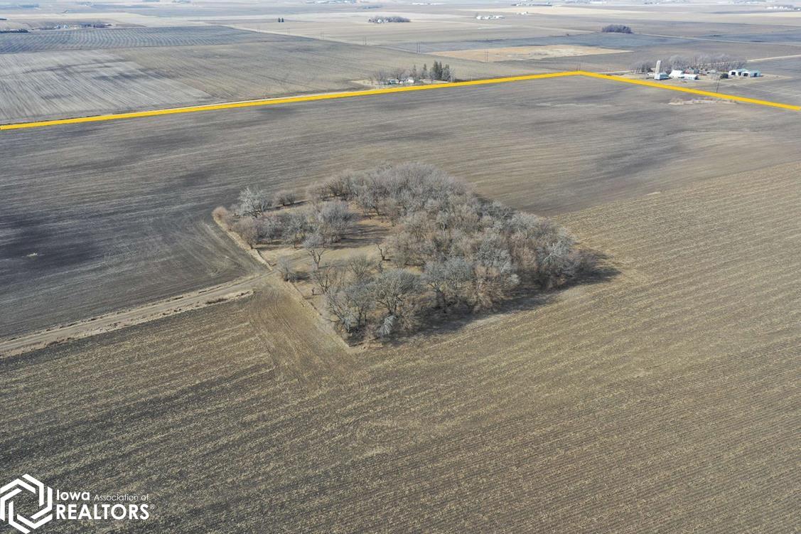 170th St. at Otter Ave.