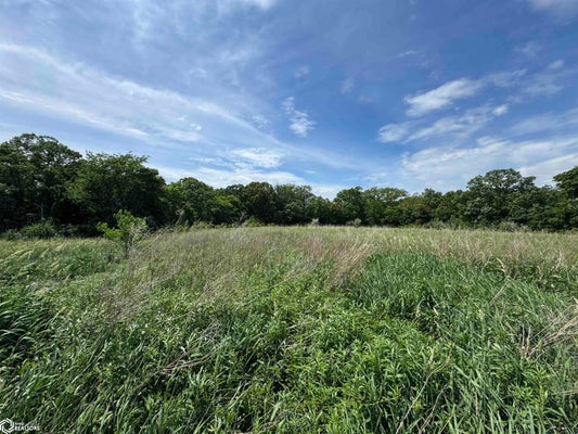 S MAGNOLIA DR, MOUNT PLEASANT, IA 52641 - Image 8ea5e383dc2e1069d991fdc63b801daf/790834339