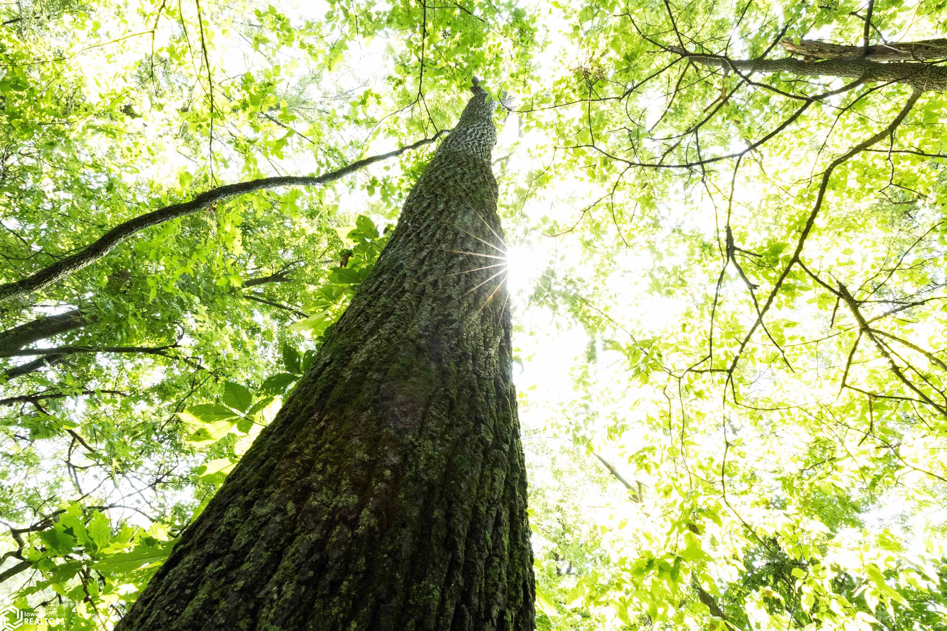 TBD Driftwood Boulevard