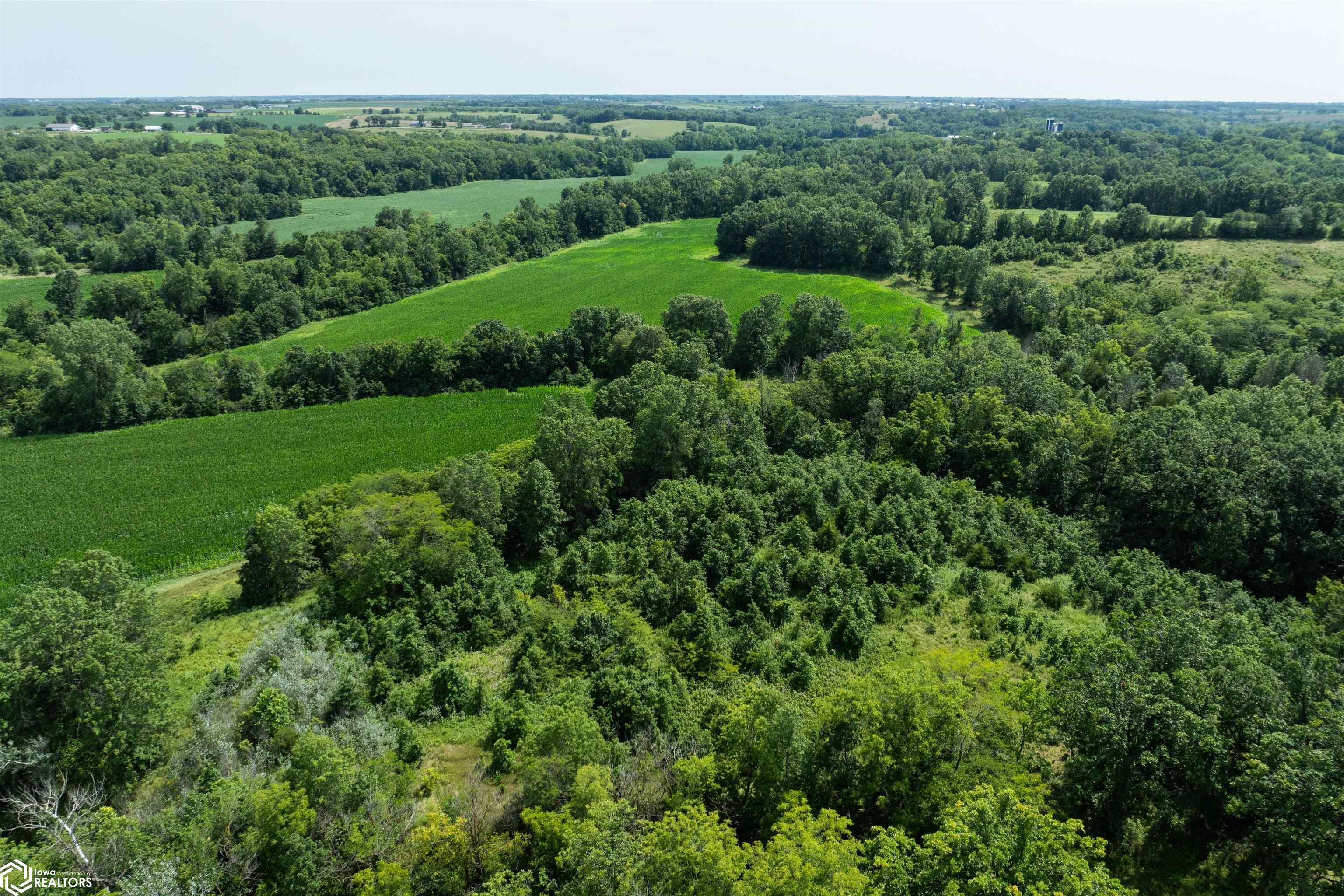 TBD Driftwood Boulevard