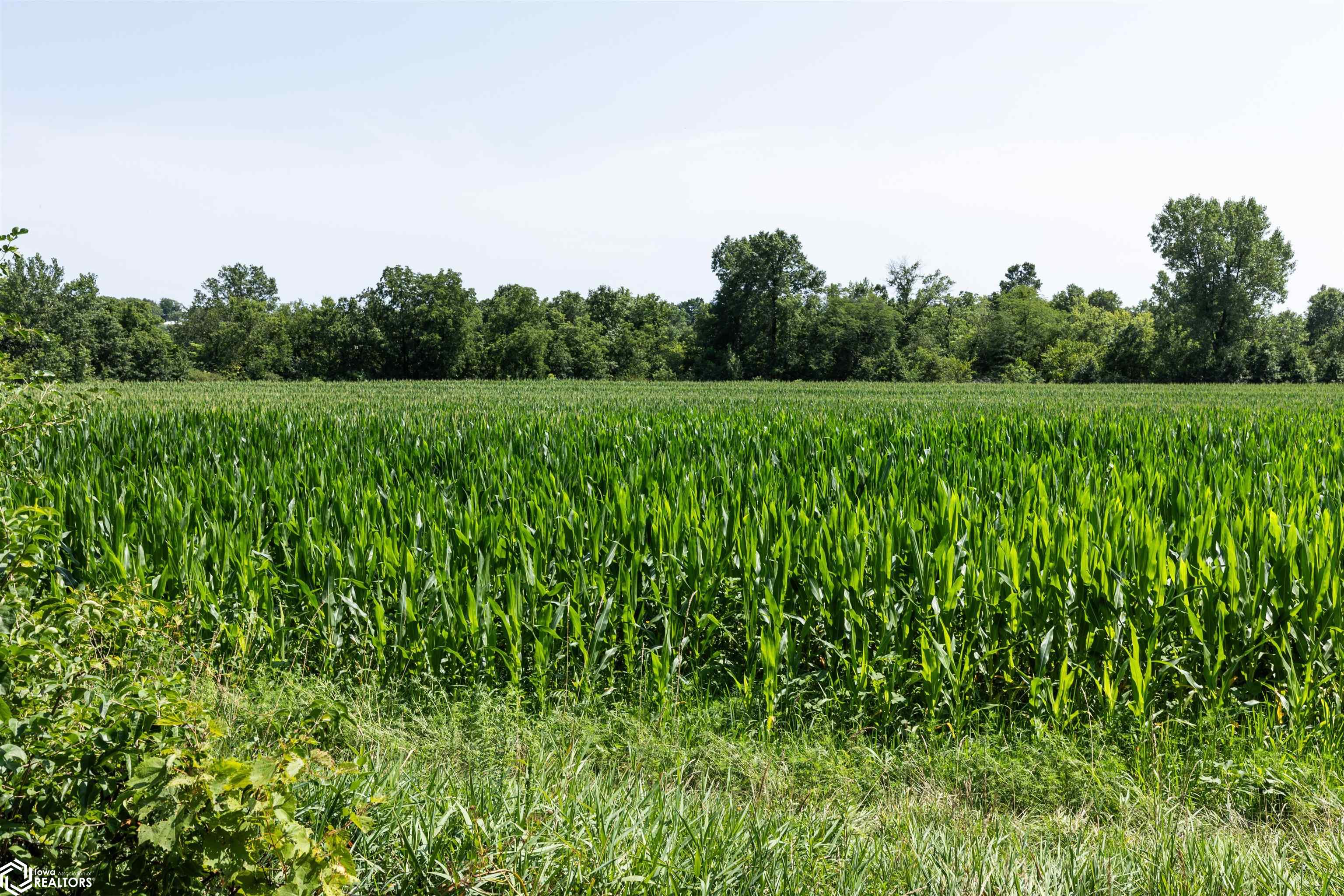 TBD Driftwood Boulevard