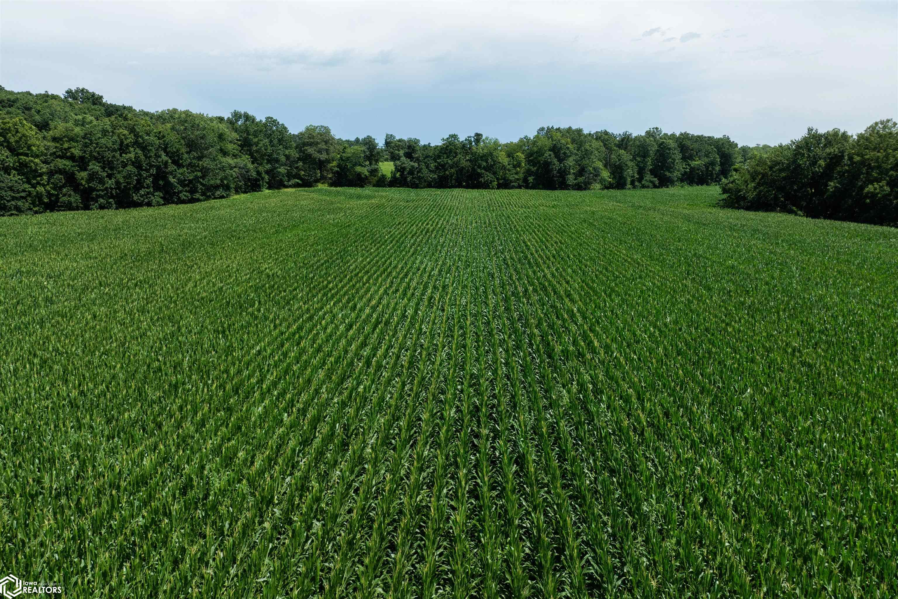 TBD Driftwood Boulevard