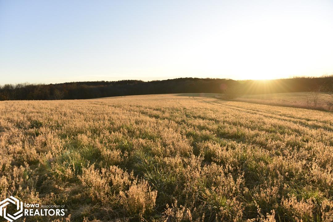 26845 County Road R52