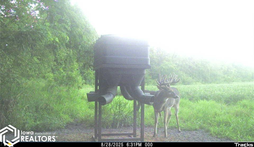 26845 County Road R52