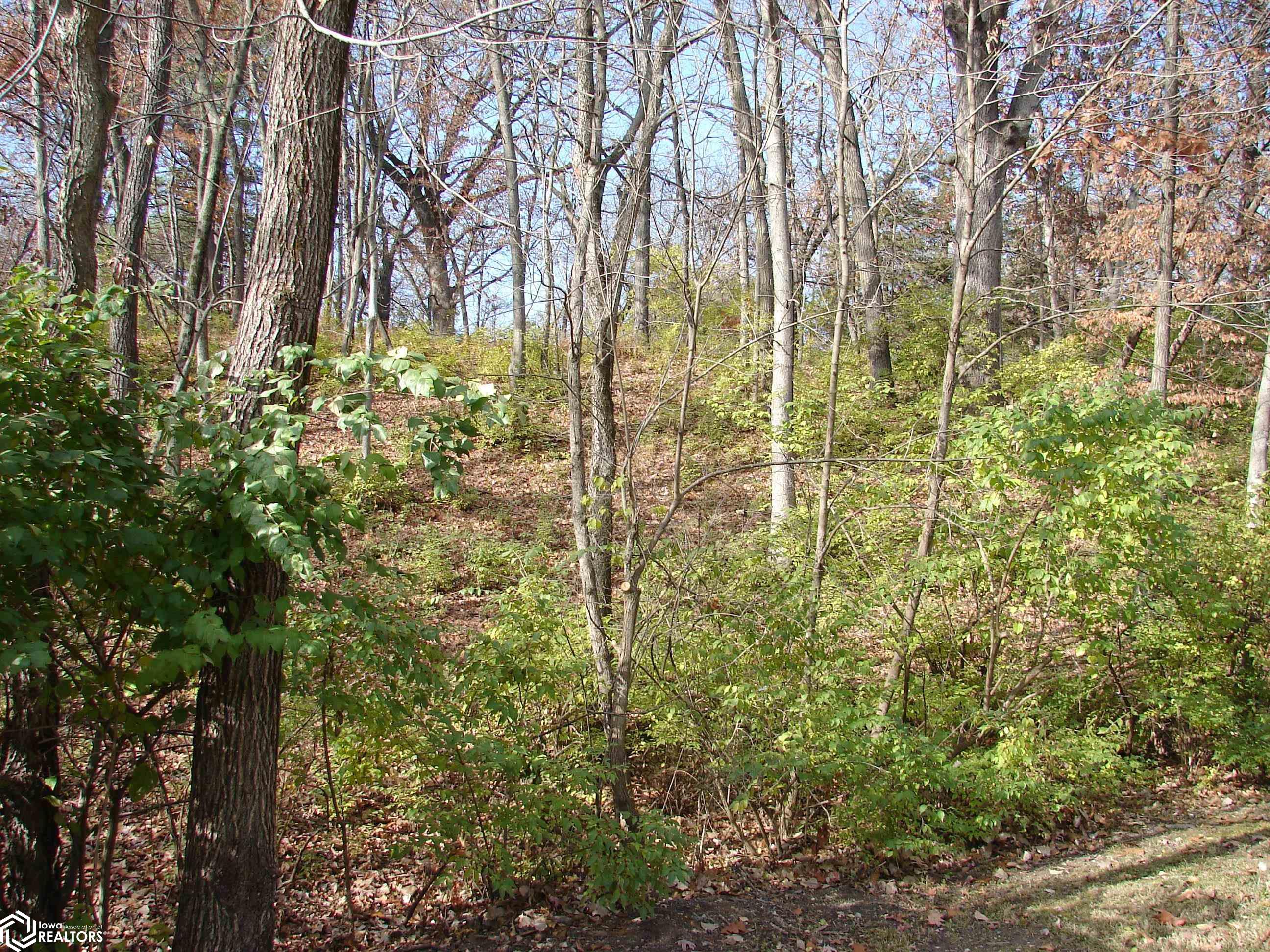 Photo 1 of 3 — Lot 1 S Hoaglin Drive, Mount Pleasant, IA 52641