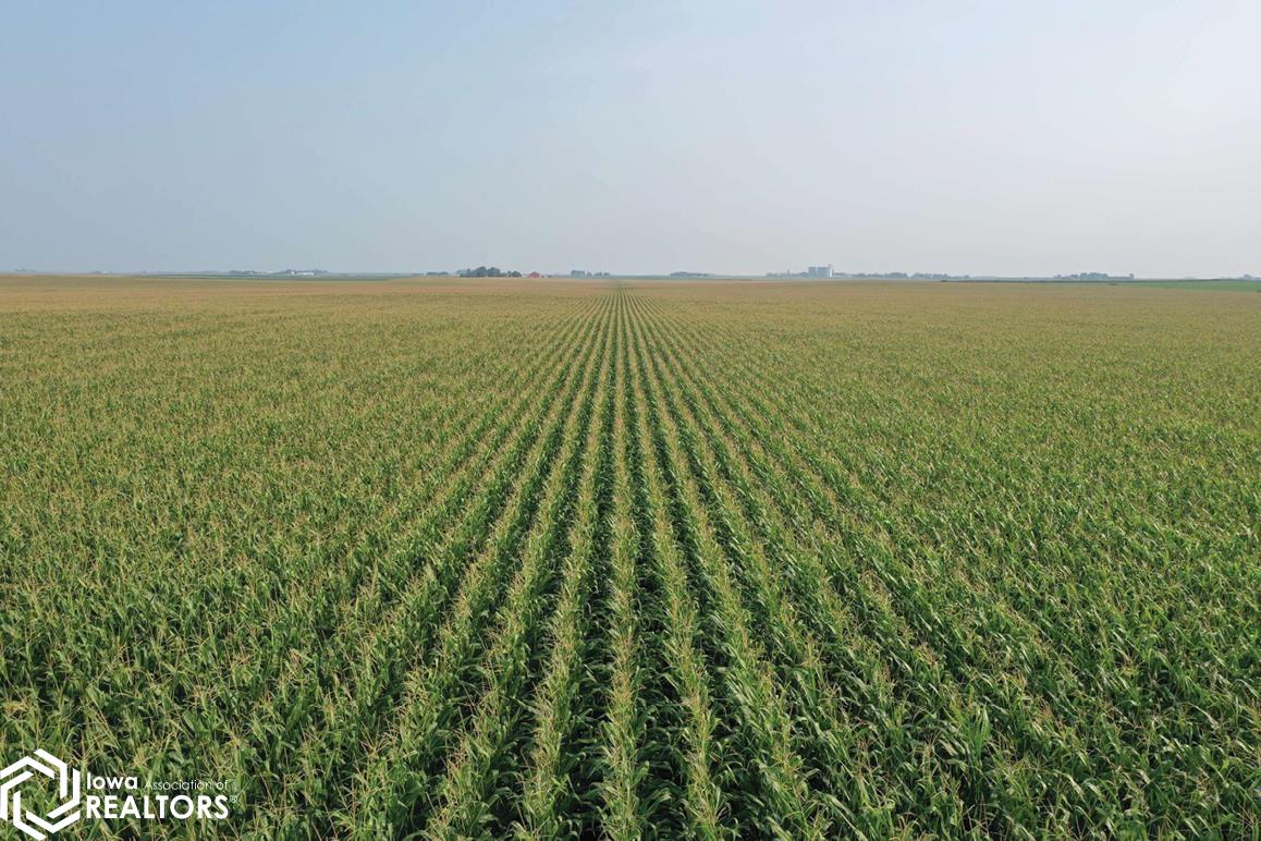 190th St. at Texas Ave.