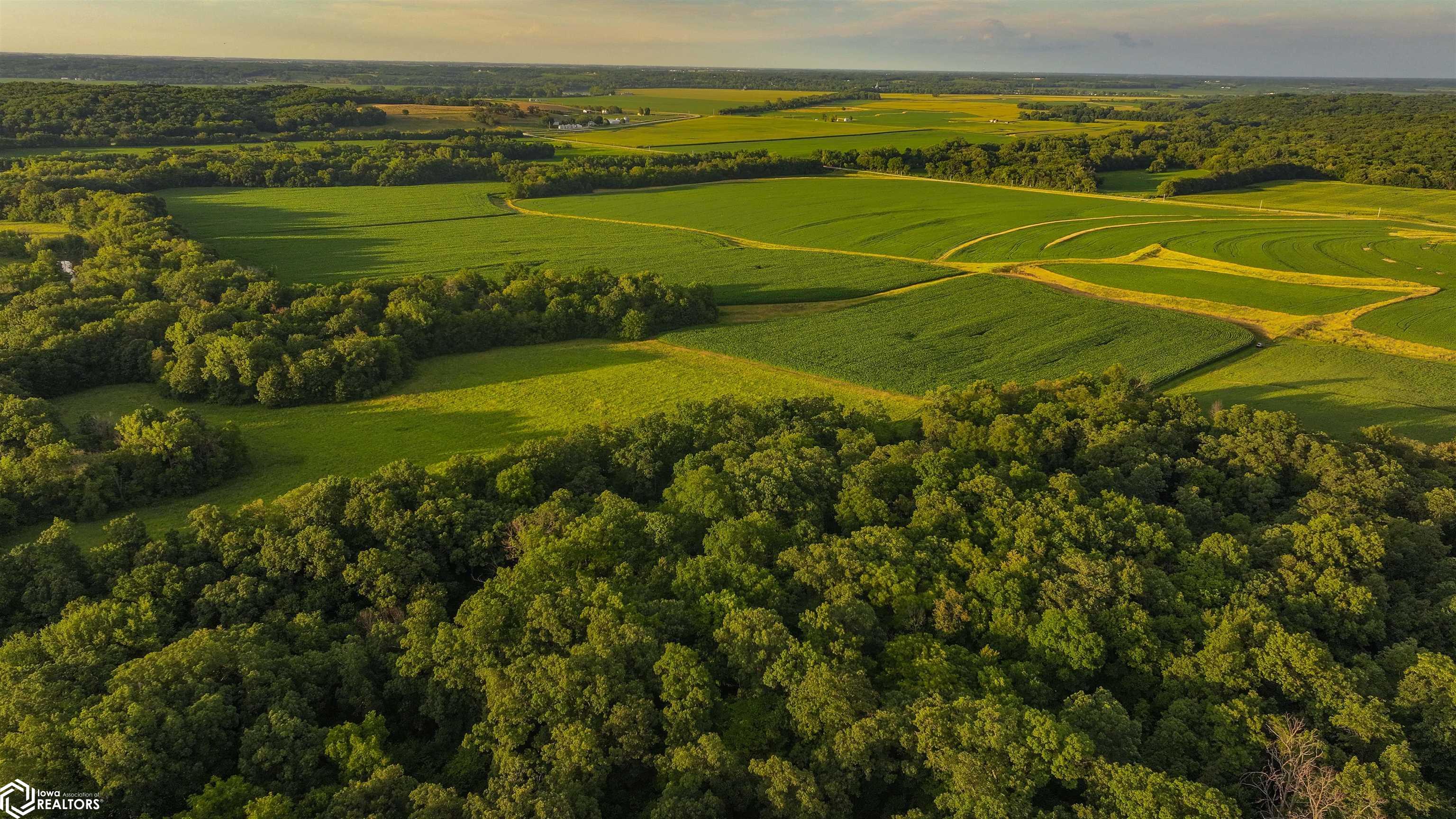 00 Swallow Boulevard