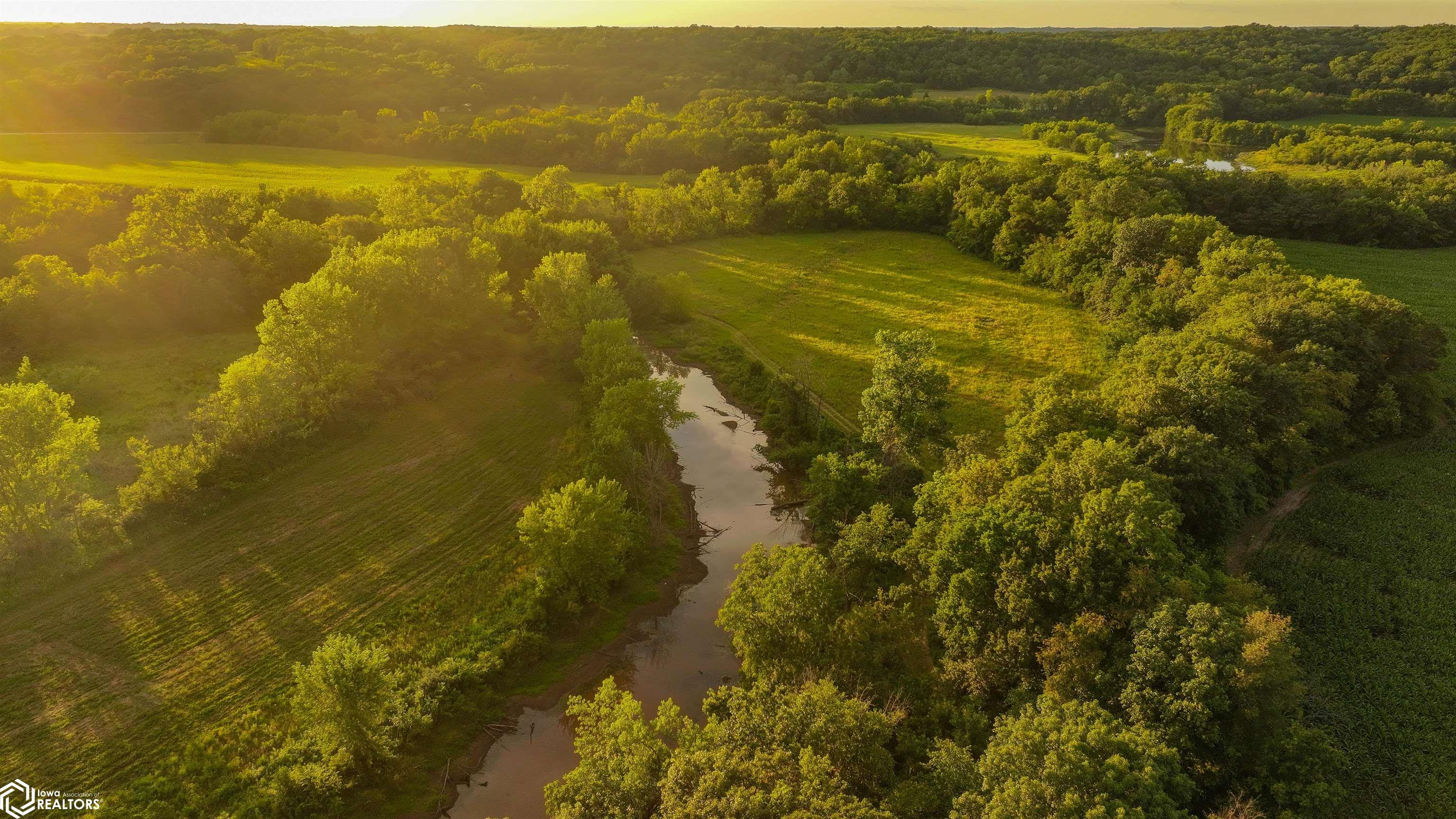 00 Swallow Boulevard