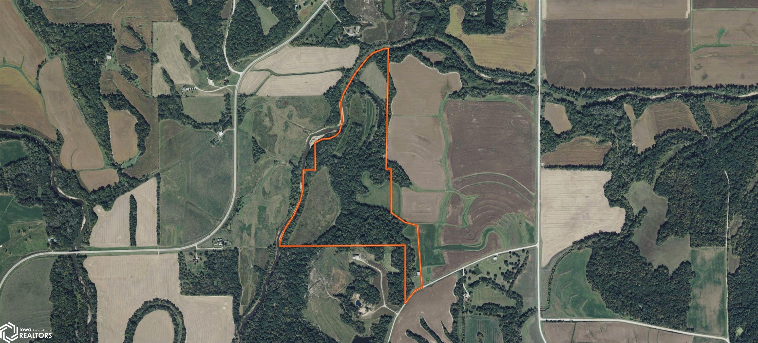 00 Swallow Boulevard