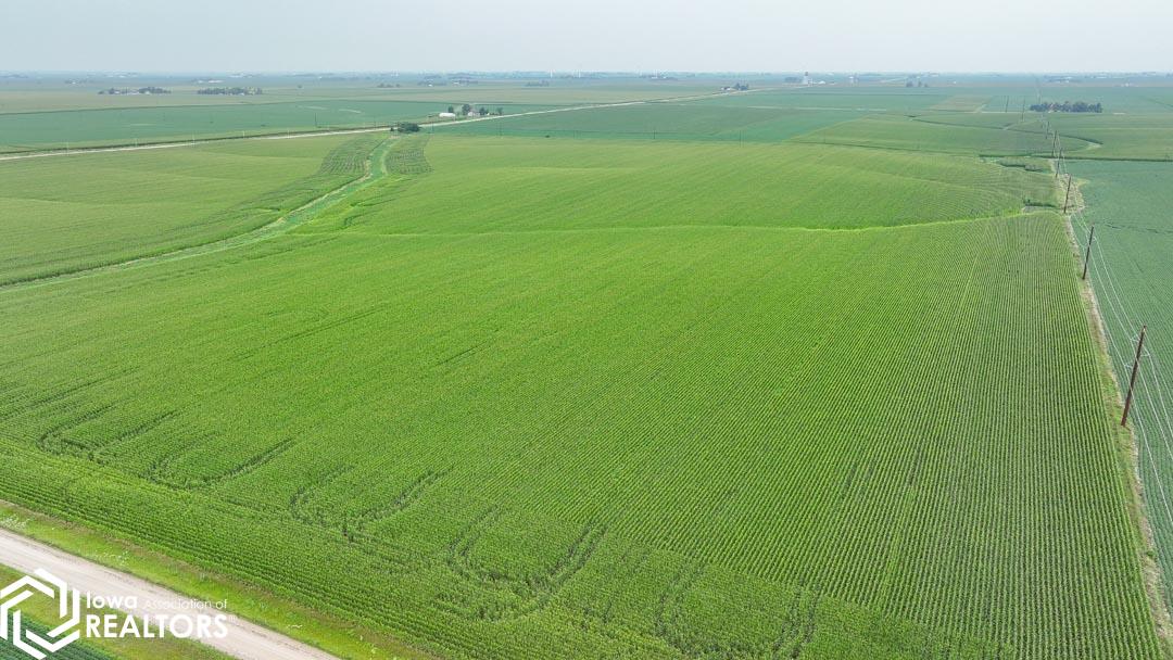 29443 IA-14