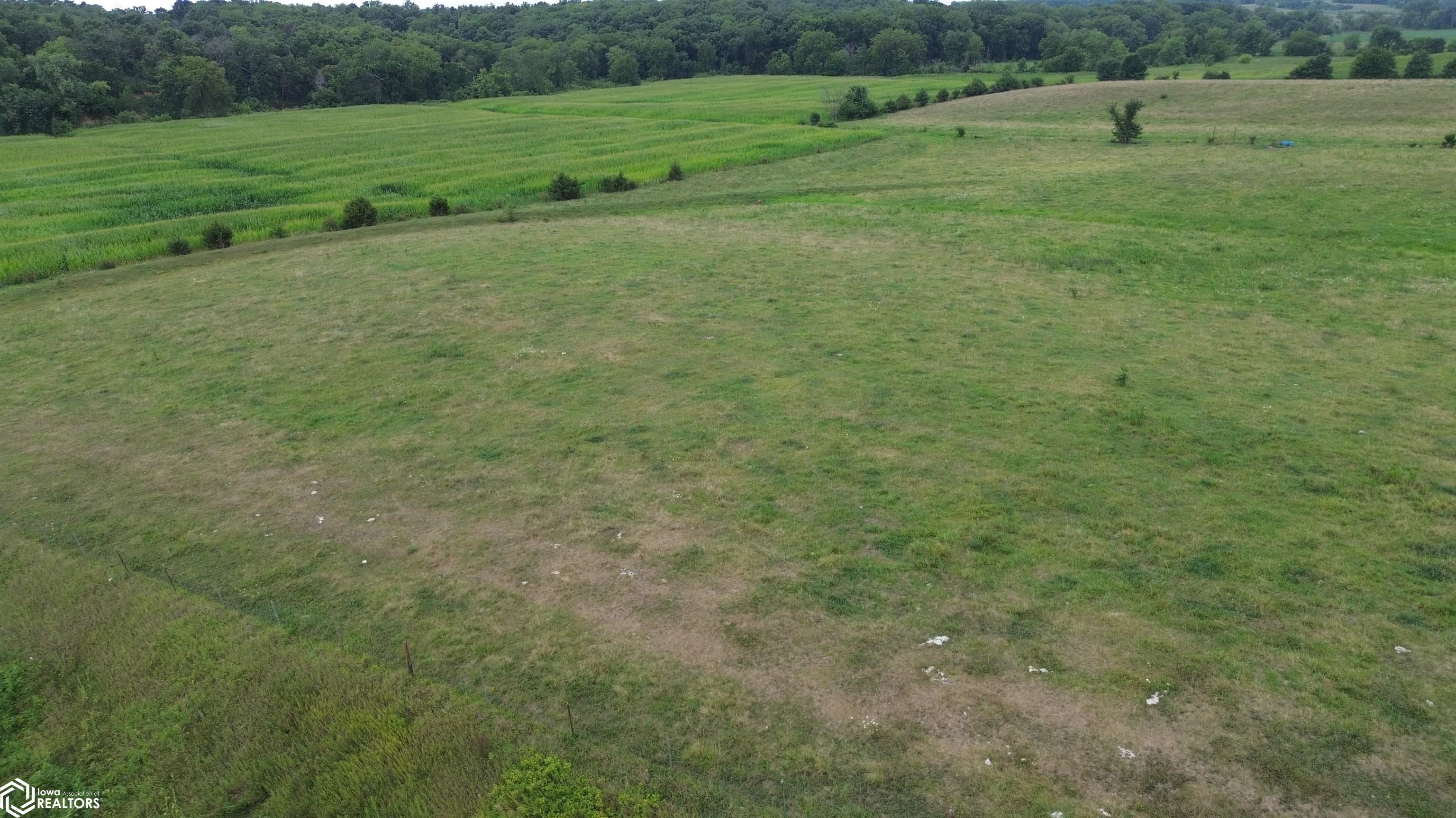 10 Acres Timber Avenue