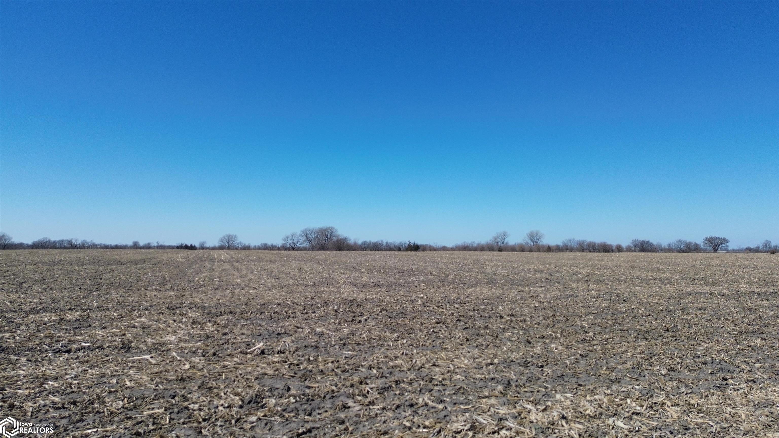 54 Acres Highway 65