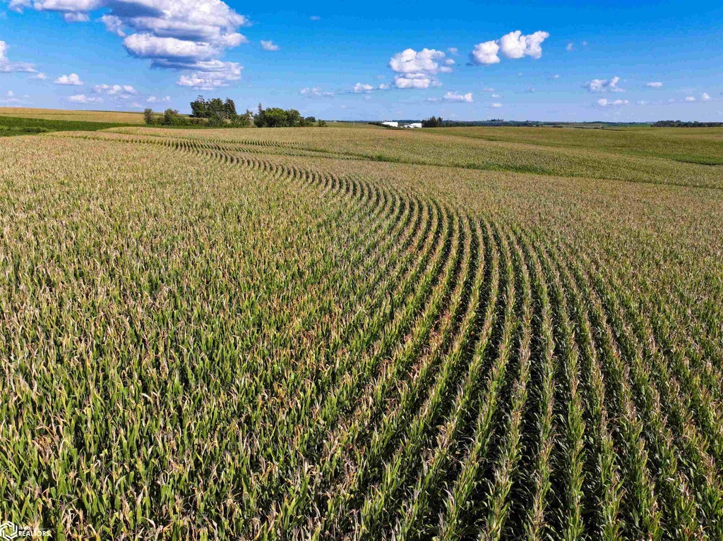 Photo of 173 Hawkweed Drive, Postville, IA 52162 (MLS # 6343475)
