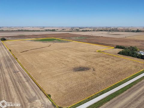 113th St. Zearing IA 50278