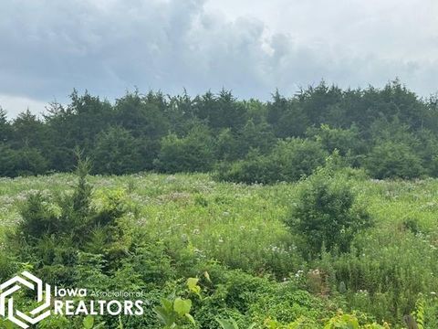 293rd Street Street Bloomfield IA 52537