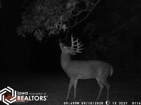 1701 N 14Th Street Centerville IA 52544