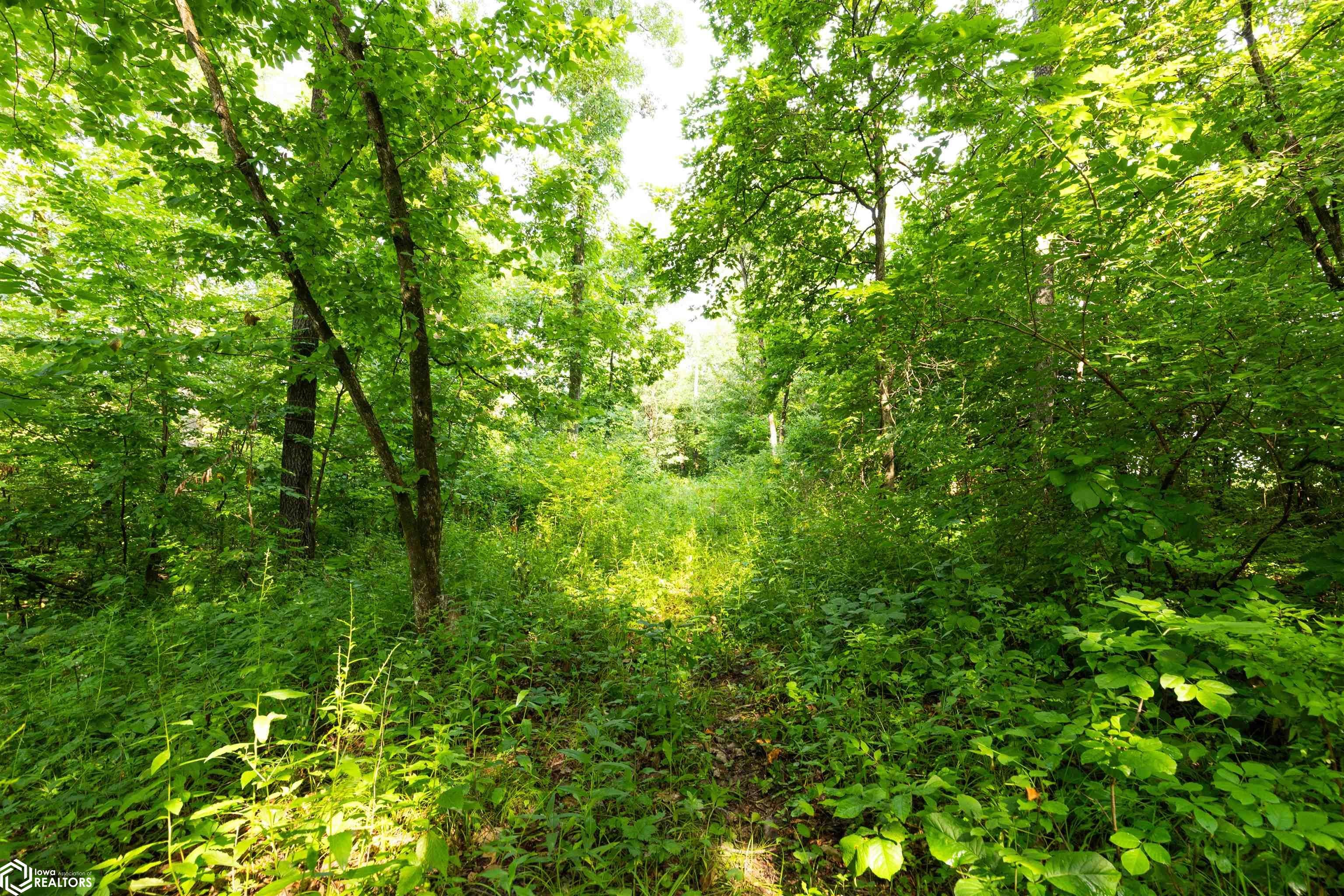 14500 Irish Ridge Road