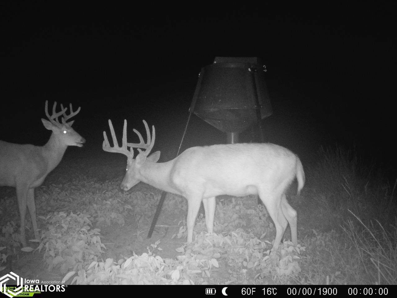 19391 County HWY J20