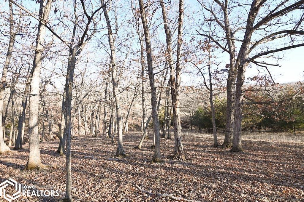 Photo of 19391 County HWY J20, Leon, IA 50144 (MLS # 6336265)