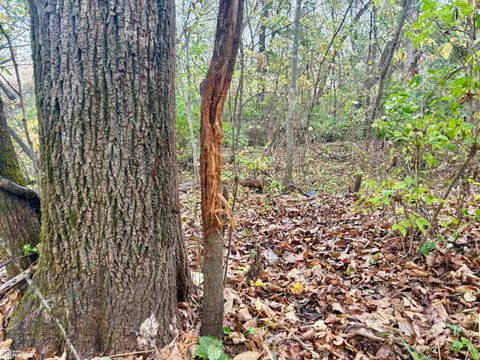 Tiny photo for TBD 185th Street, Mount Pleasant, IA 52641 (MLS # 6333467)