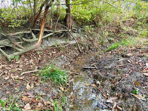 Tiny photo for TBD 185th Street, Mount Pleasant, IA 52641 (MLS # 6333467)