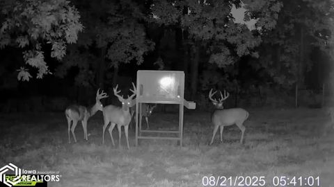 Tiny photo for TBD 185th Street, Mount Pleasant, IA 52641 (MLS # 6333467)