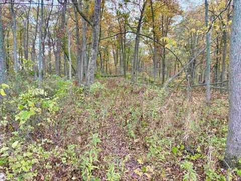 Tiny photo for TBD 185th Street, Mount Pleasant, IA 52641 (MLS # 6333467)