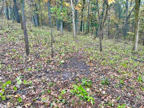 Tiny photo for TBD 185th Street, Mount Pleasant, IA 52641 (MLS # 6333467)