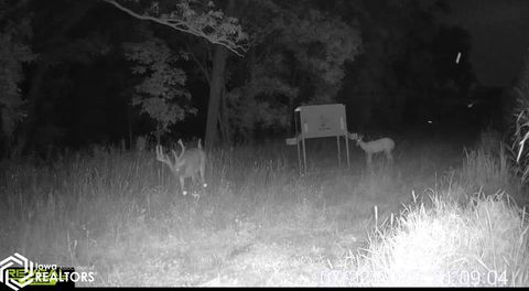 Tiny photo for TBD 185th Street, Mount Pleasant, IA 52641 (MLS # 6333467)