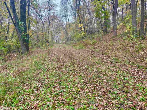 Tiny photo for TBD 185th Street, Mount Pleasant, IA 52641 (MLS # 6333467)