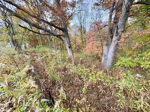 Tiny photo for TBD 185th Street, Mount Pleasant, IA 52641 (MLS # 6333467)