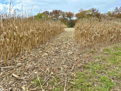 Tiny photo for TBD 185th Street, Mount Pleasant, IA 52641 (MLS # 6333467)