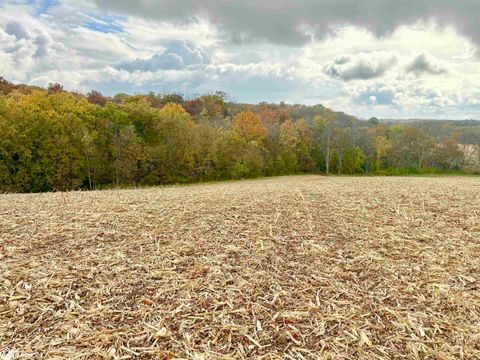 Tiny photo for TBD 185th Street, Mount Pleasant, IA 52641 (MLS # 6333467)