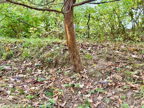 Tiny photo for TBD 185th Street, Mount Pleasant, IA 52641 (MLS # 6333467)